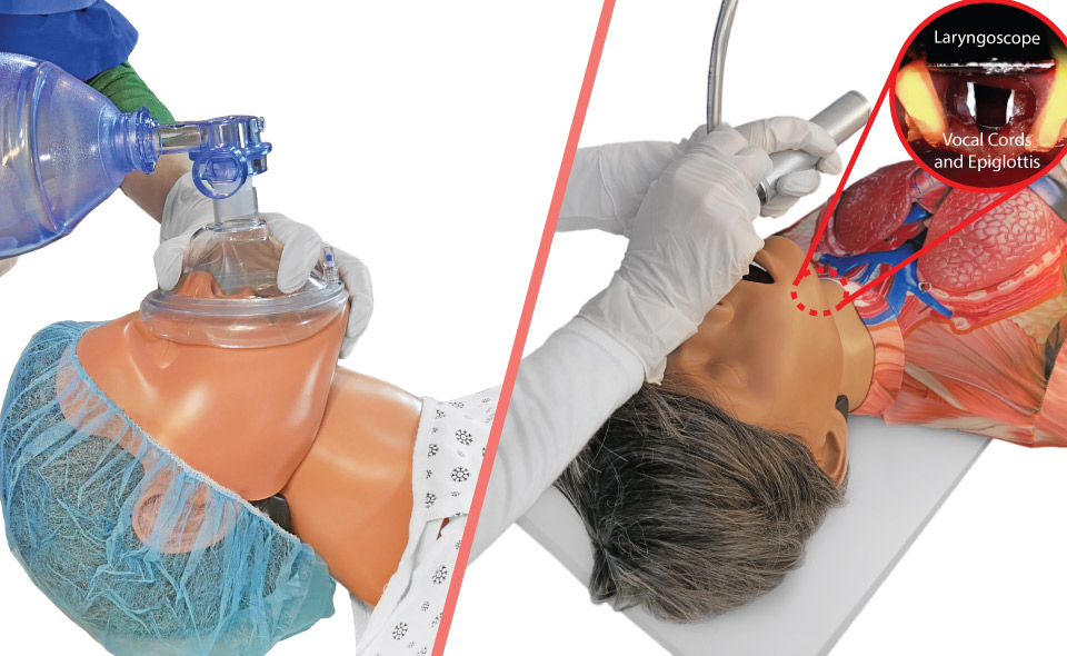 Emergency Resuscitation Simulation Systems